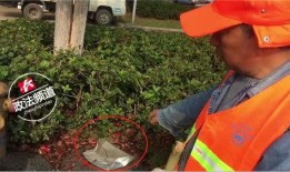 长沙芙蓉区爆料事件视频