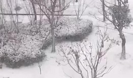 宿迁今日爆料最新消息新闻,聚焦今日热点事件追踪