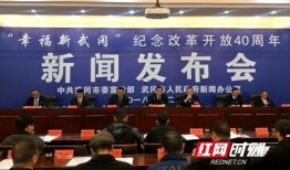 武冈新闻爆料最新一期,聚焦热点事件，揭示社会动态